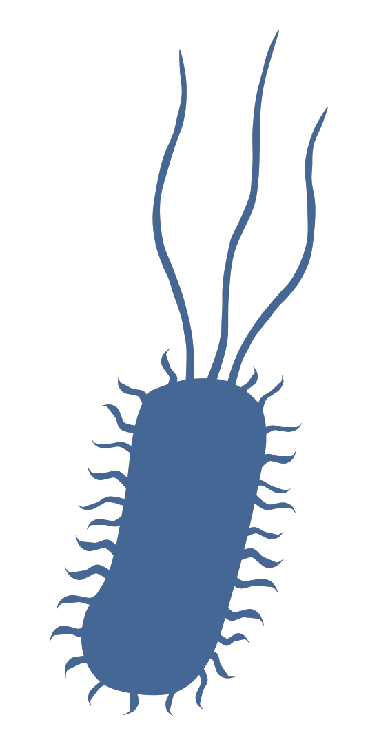 MiMeDB logo